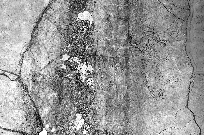 【画像1】青龍図像の赤外線写真（1550nm）2024年12 月