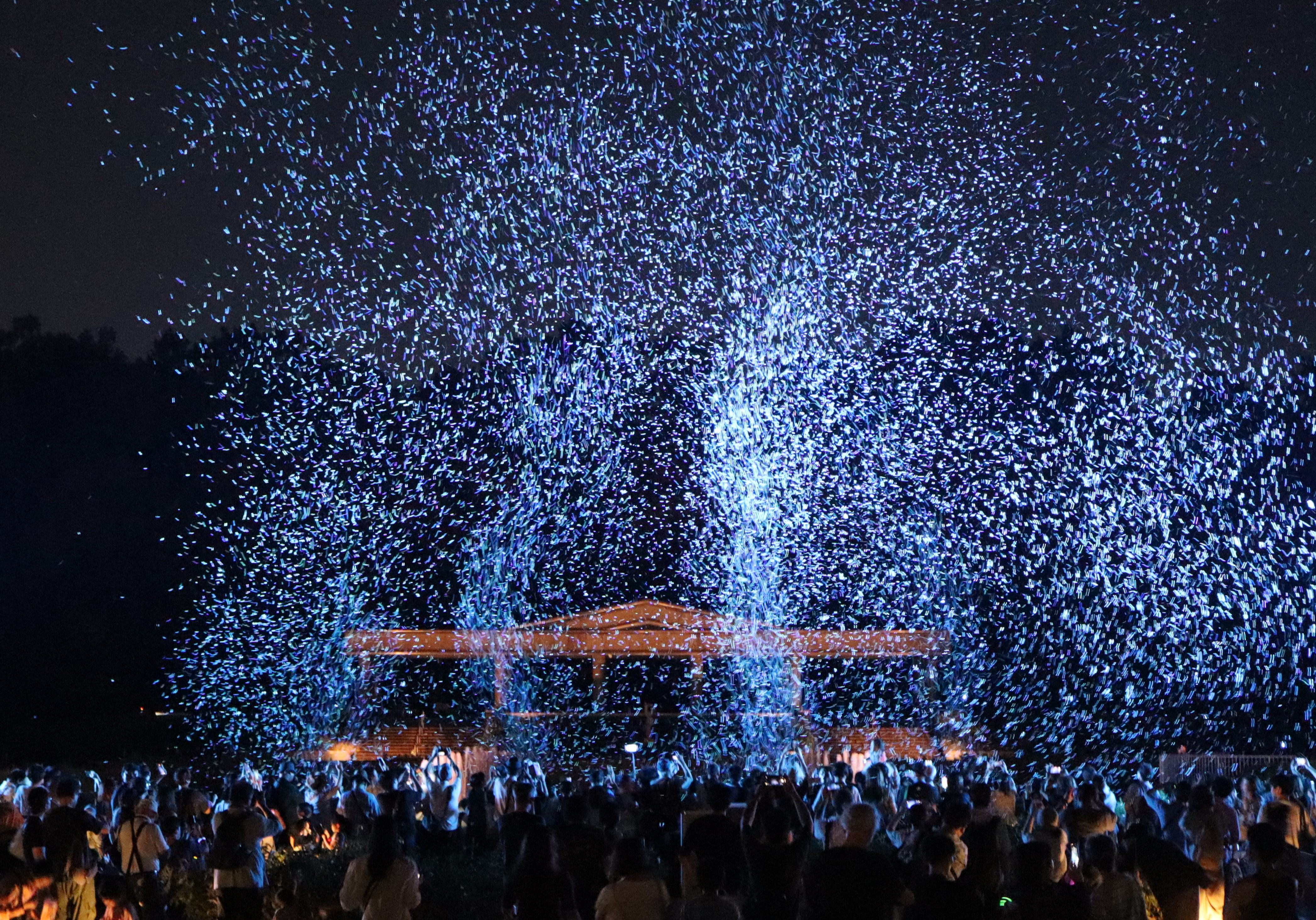 「バブルミネーション」 （令和６年７月撮影）  