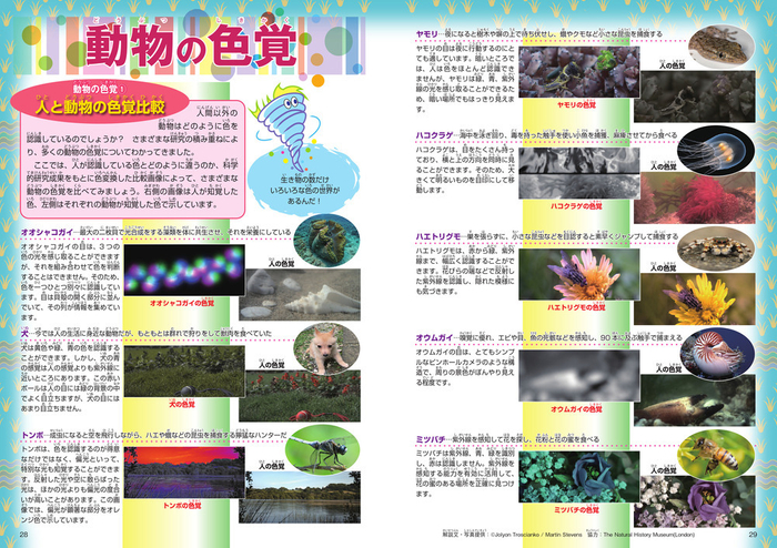 ずかん「色」(技術評論社)　動物の色覚