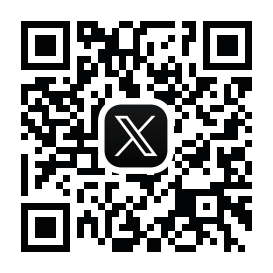 公式X
