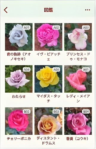 「旧古河バラコレ」の画面