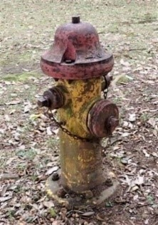 歴史を伝える消火栓 （府中の森公園）