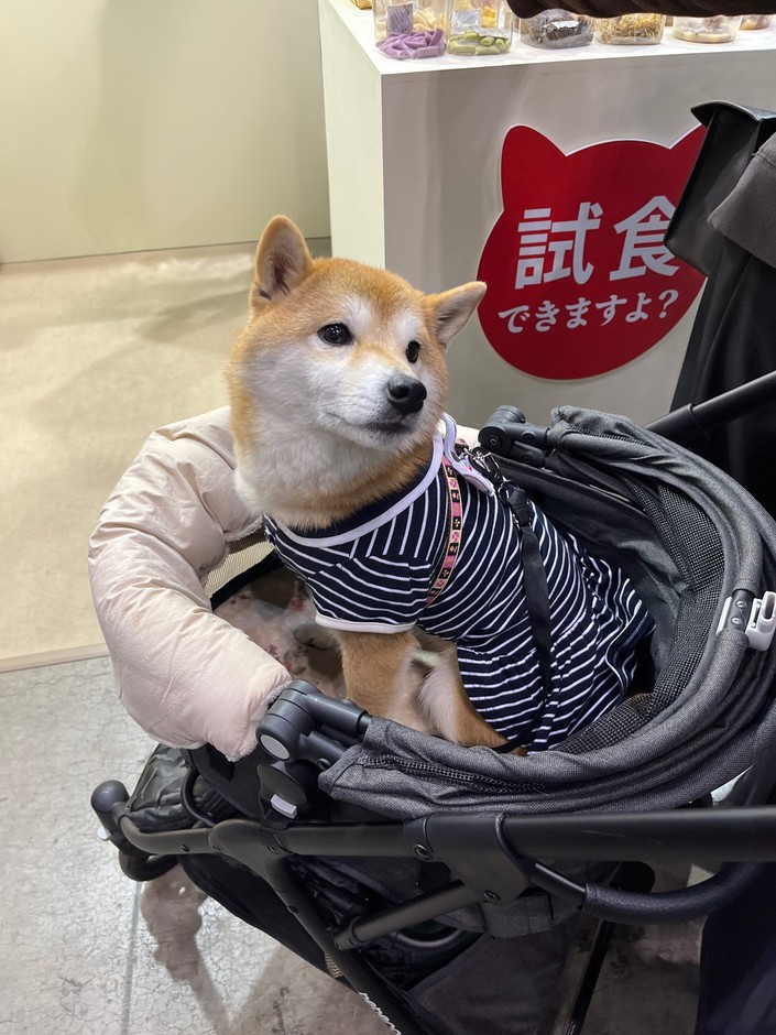 2025年出展時の参加者