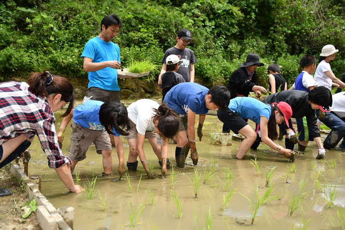 収穫を夢みながらの田植え