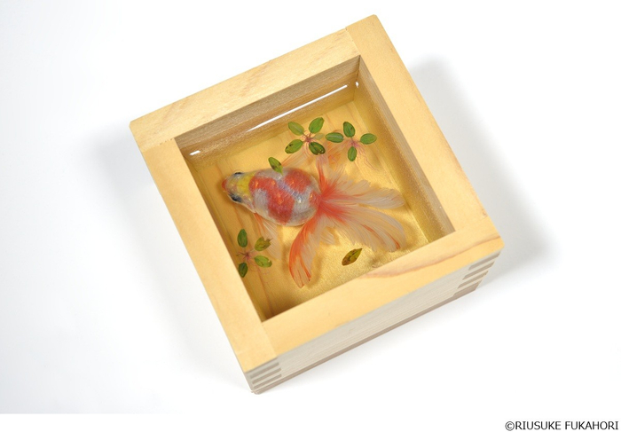 《金魚酒 命名 鈴夏》 2021年