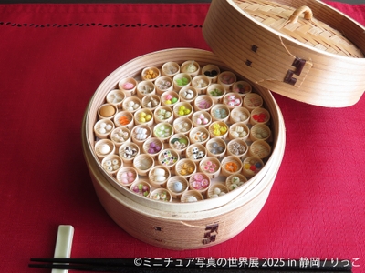 ミニチュア写真の世界展 展示作品:りっこ