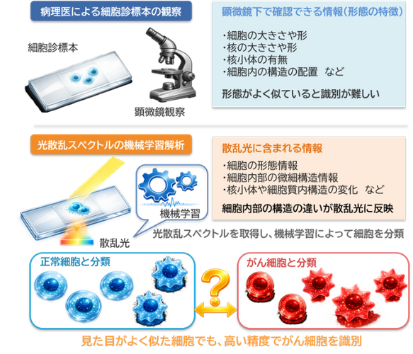 図1　研究概要