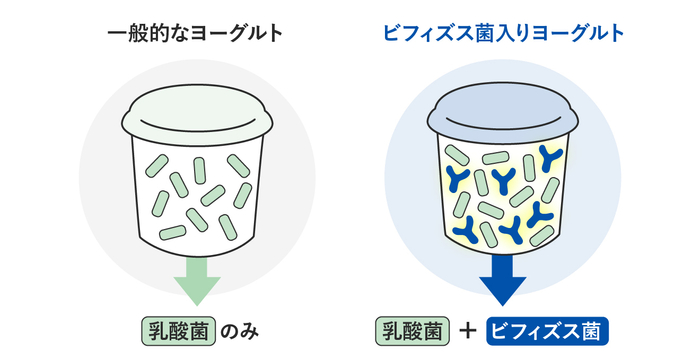 ヨーグルトにおける大きな違い