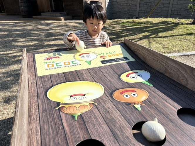 ▲９つの穴目掛けて、たまねぎを転がせ！