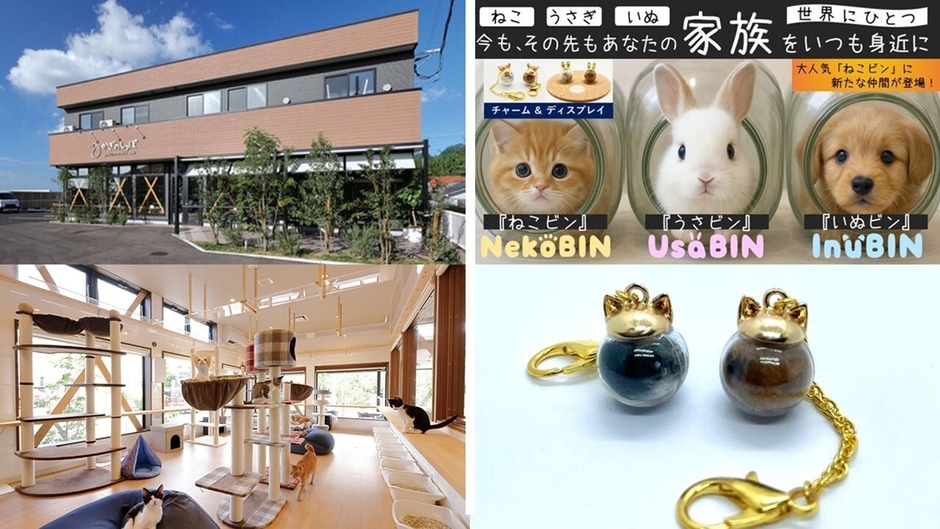 「ねこビン」が保護猫カフェと連携
