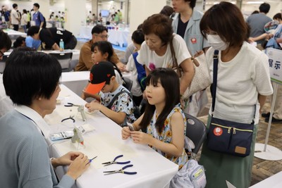 石の不思議を探してみよう!