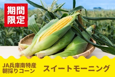 甘さがぎゅぎゅっと！　毎年大好評の兵庫県産「スイートモーニング」予約開始
新たに２Ｌサイズ登場、対象商品早割１０％ＯＦＦも!