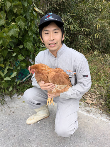 代表