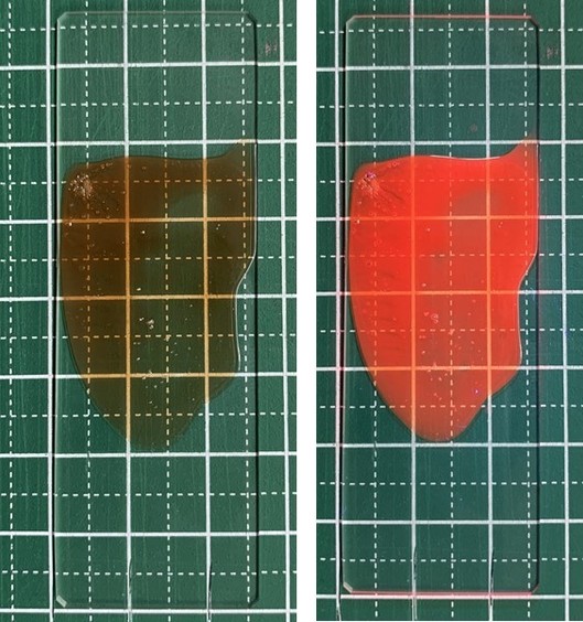 ガラス上の量子ドット (左)室内灯下 (右)室内での紫外線照射下