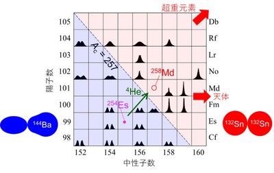 図2 自発核分裂で観測された核分裂片の質量数分布の形状を核種ごとに示したもの。山が1つのものは対称分裂を示し、山が2つあるものは非対称分裂を示す。ちぎれた瞬間の核分裂片の形も示す。
