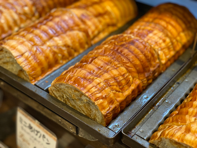 メープルラウンド