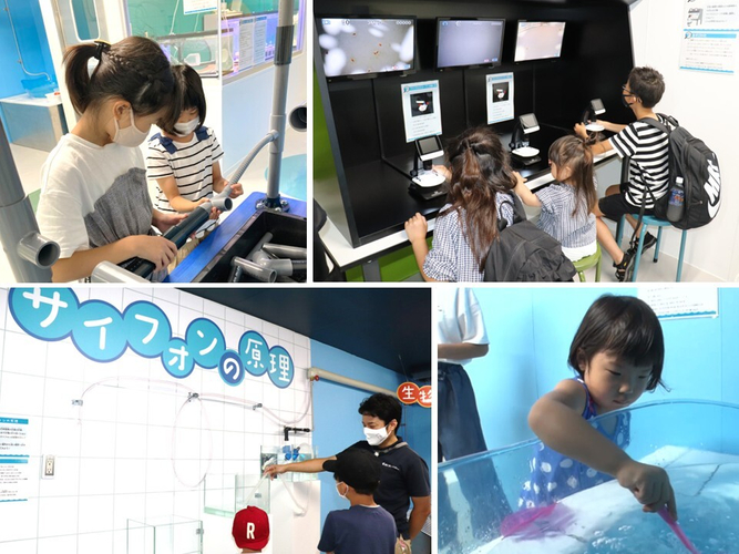 飼育員さんになりきって水族館のウラ側を体験しちゃおう