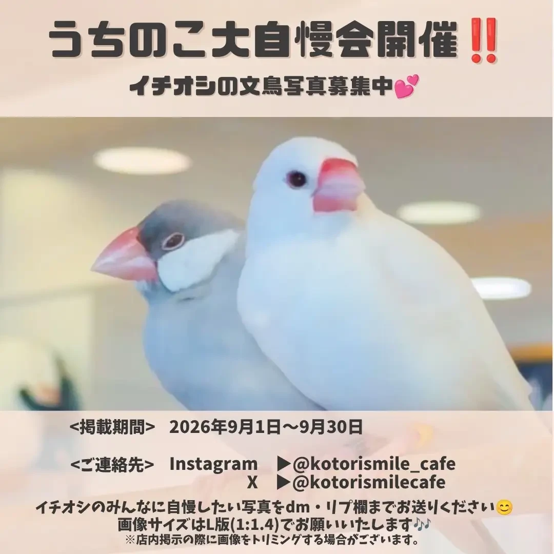 うちのこ自慢会開催中♪