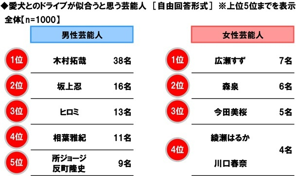愛犬とのドライブが似合うと思う芸能人