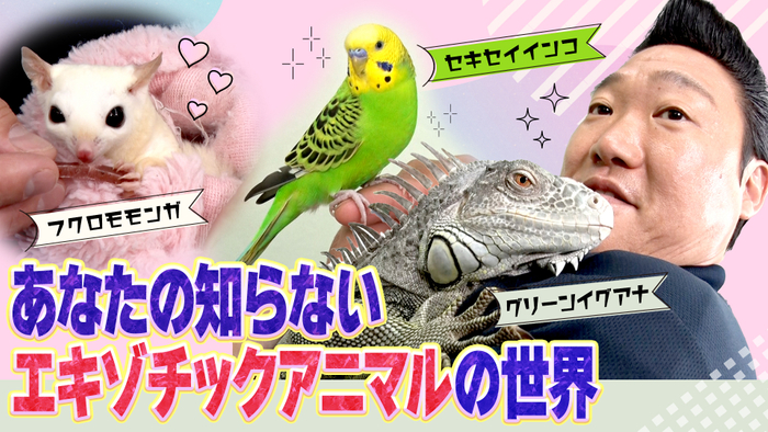 あなたの知らないエキゾチックアニマルの世界