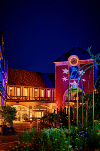 光の森～Forest of Illuminations～森の大聖堂　2025年サマーバージョン　幻想的空間