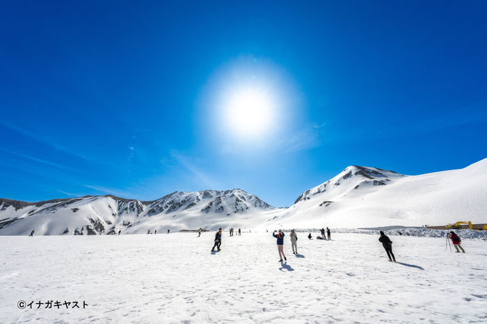 室堂平では4月から6月まで雪景色が広がる