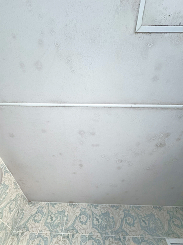 事例03_Before｜天井