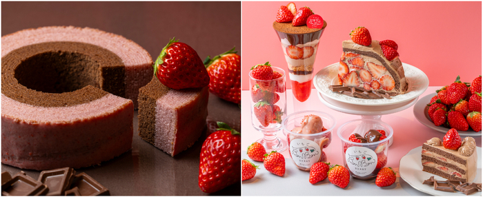 いちごのバウムクーヘンショコラ／ショコラフェア