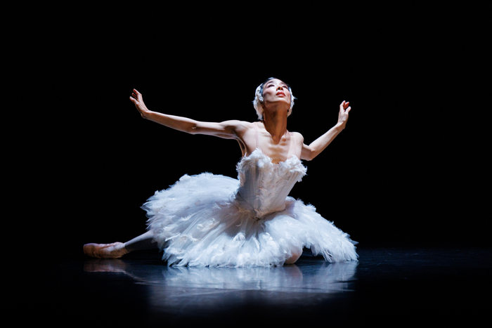 パフォーミングアーツ・セレクション 『瀕死の白鳥』提供:DanceBaseYokohama &copy;NaoshiHATORI