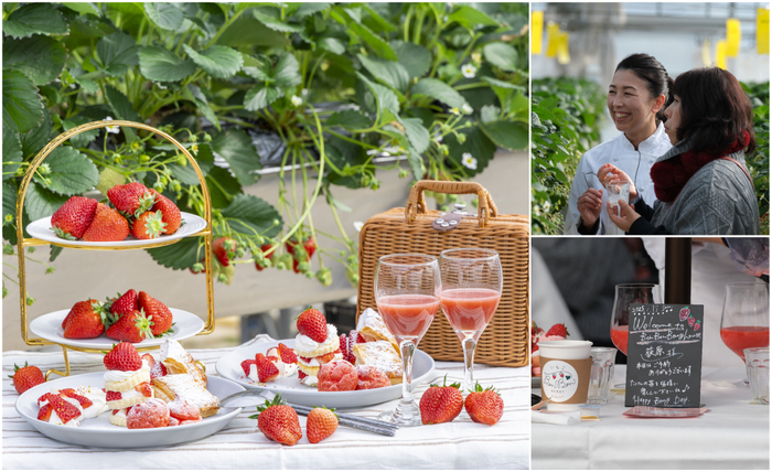 いちごBonBonBERRYのFarm to Table ～ファーム トゥ テーブル～