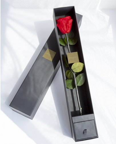 The  One Special Edition 税別￥20,000