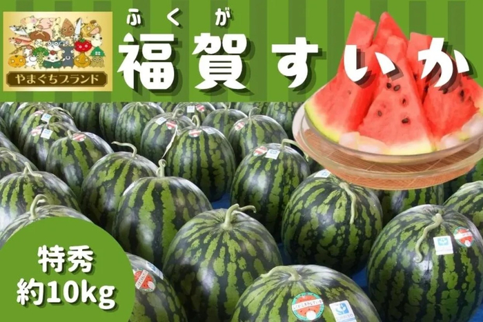 やまぐちブランド_１株１果どり_福賀すいか