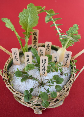 春の七草（イメージ）