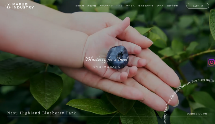 Nasu Highland Blueberry Park