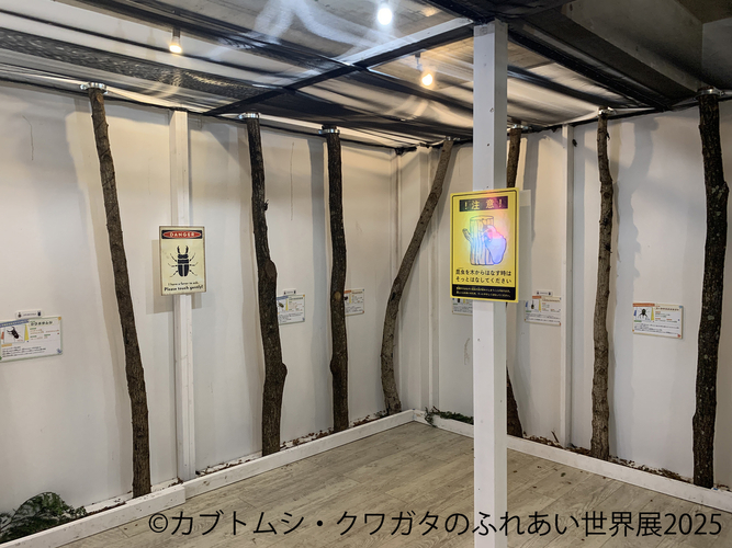 カブトムシ・クワガタのふれあい世界展 展示：ふれあいイメージ