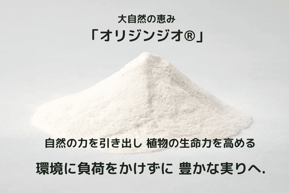 オリジンジオ(R)