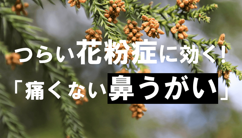 つらい花粉症に効く!「痛くない鼻うがい」