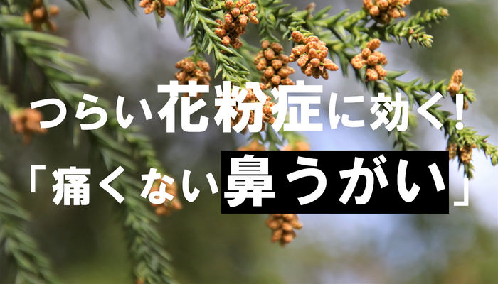 つらい花粉症に効く!「痛くない鼻うがい」