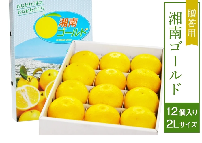 【贈答用】湘南ゴールド(2L 12個入り)