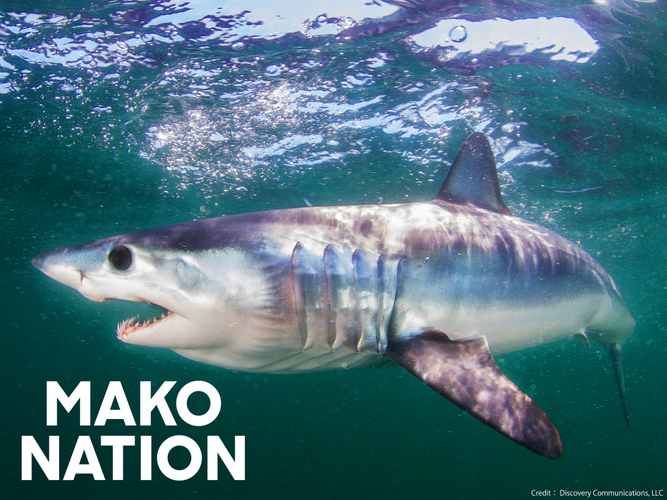 &copy; 2023 Warner Bros. Discovery, Inc. or its subsidiaries and affiliates. All rights reserved.