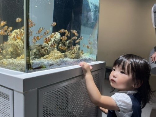 ポジカを貼った&ldquo;わざにふれる水槽&rdquo;の様子