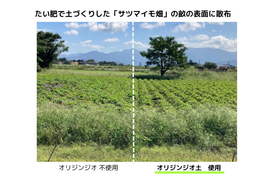 畝の比較