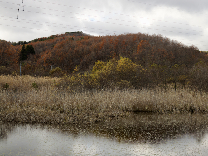「Remembrance」より 2011