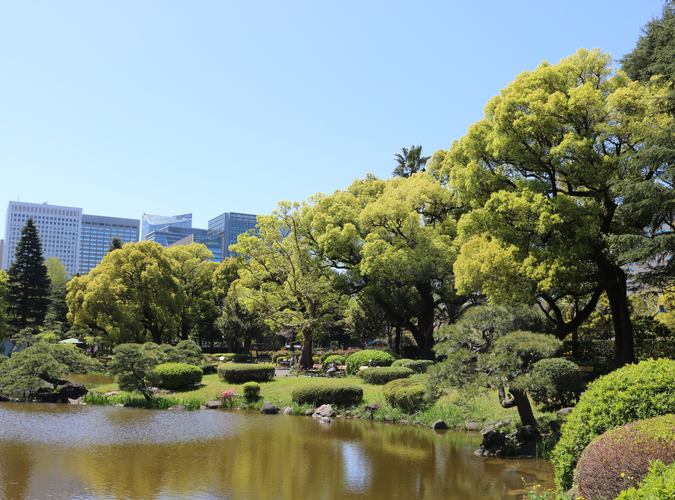 心字池と周辺の樹木（日比谷公園）
