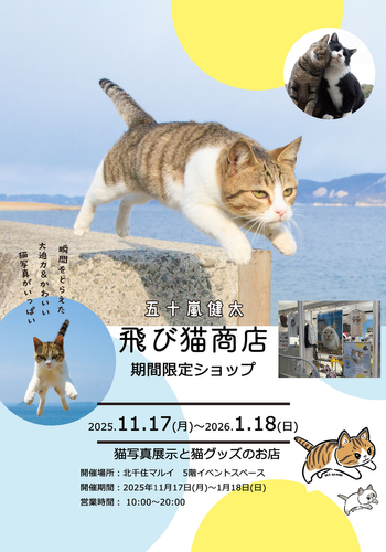 ショップフライヤー