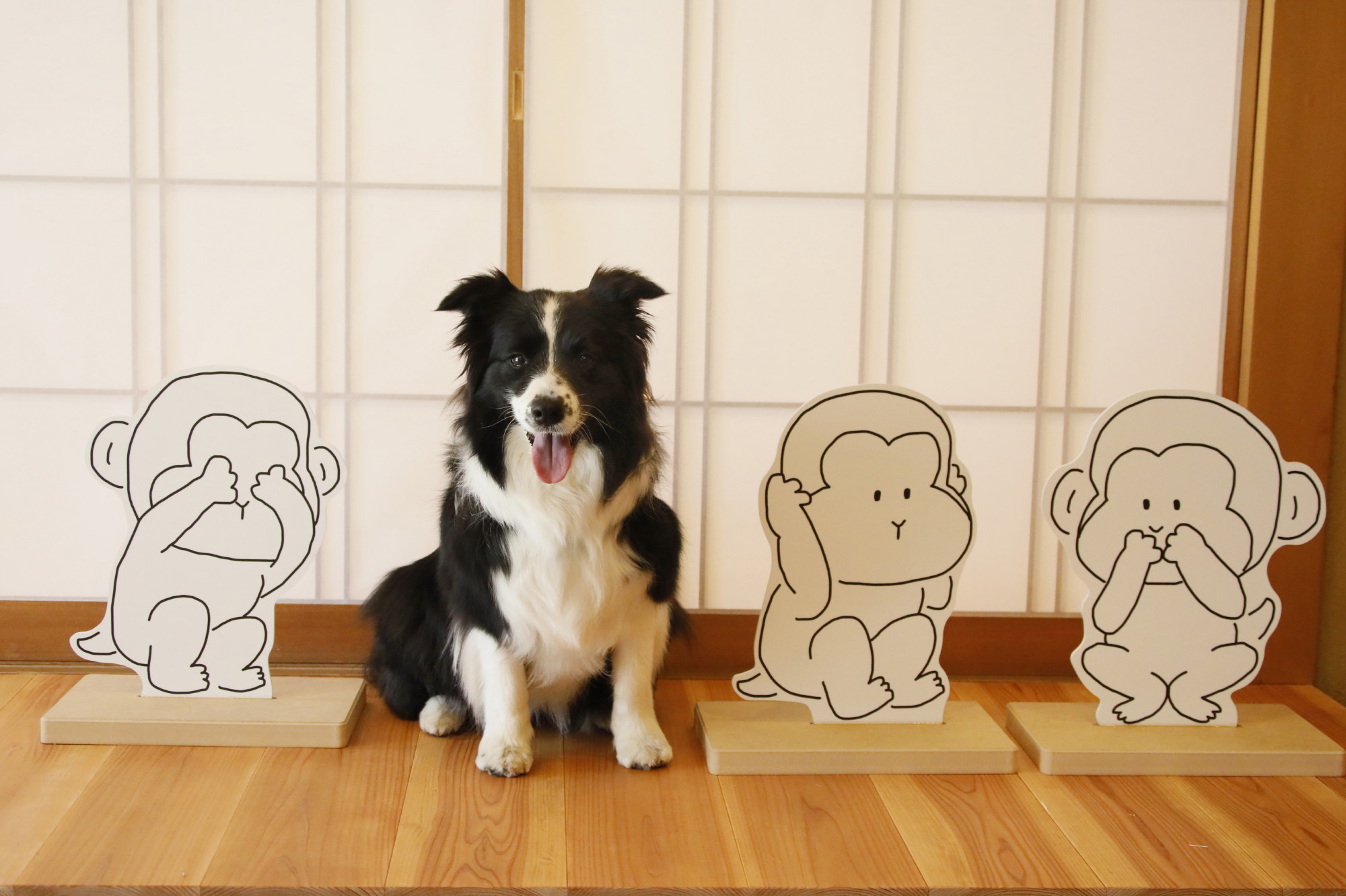 茶室をイメージした＜フォトスタジオ＞