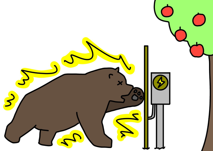 写真(3)：電気柵の設置状況