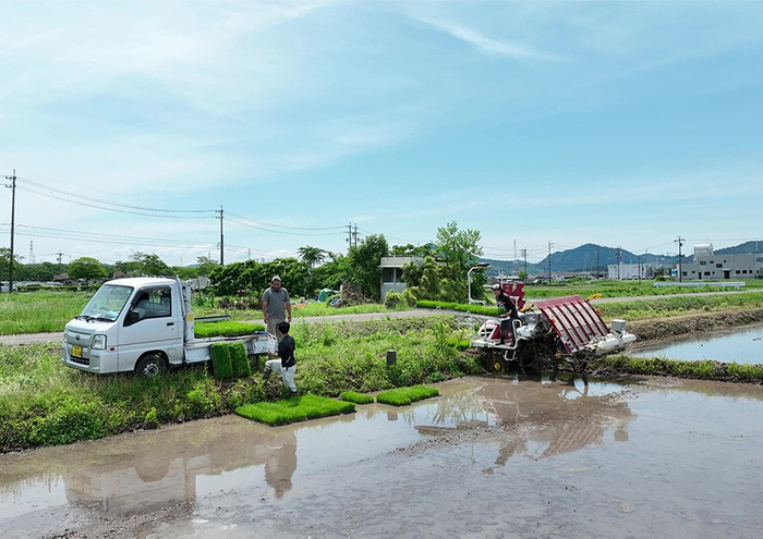 【米の生産（1次産業）】
