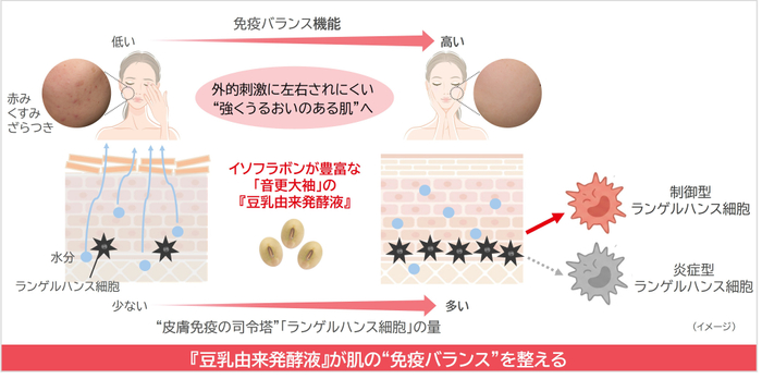 研究成果の概要