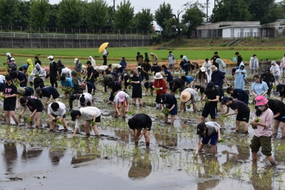 時折、雨も小降りに